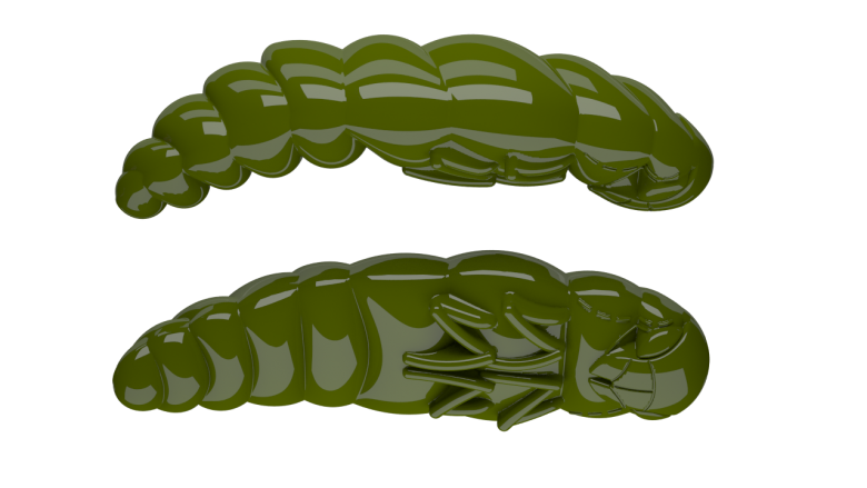 031 OLIVE