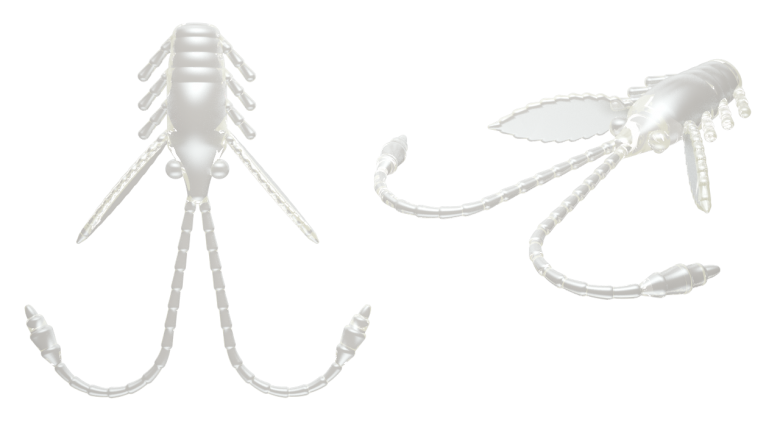 004 SILVER PEARL