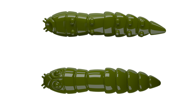 031 OLIVE