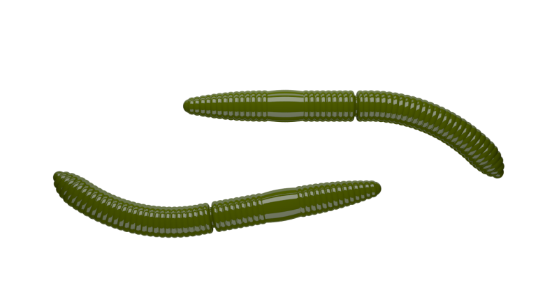 031 OLIVE