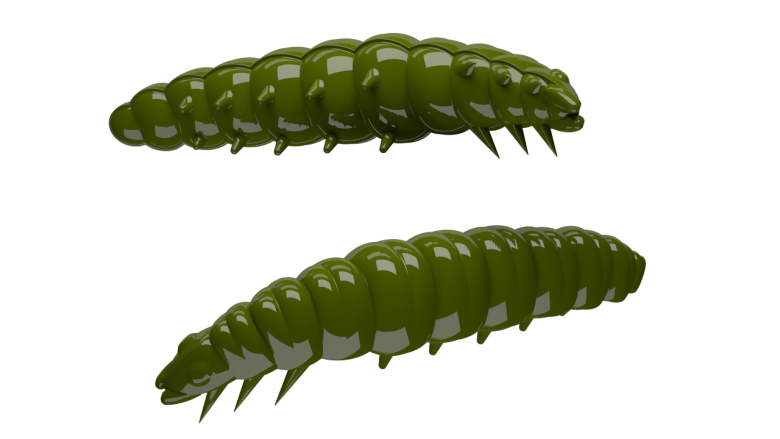 031 OLIVE