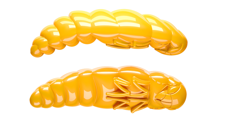 008 Dark Yellow