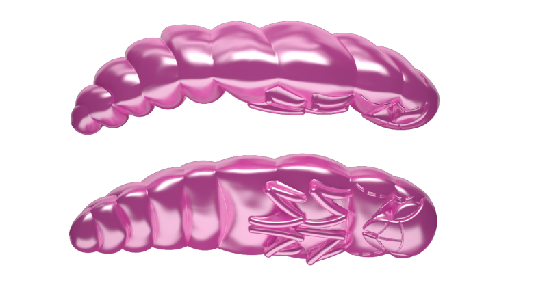 018 PINK PEARL