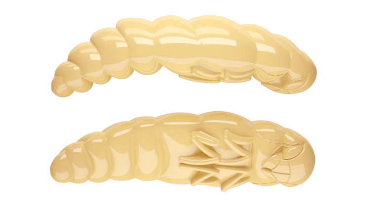 005 CHEESE