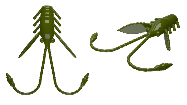 031 OLIVE