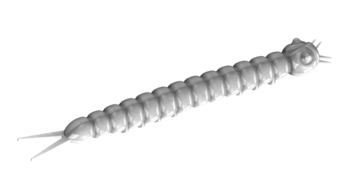 SLIGHT WORM 38