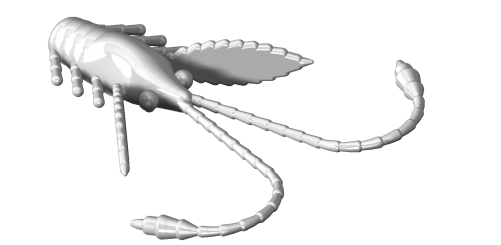 PRO NYMPH 