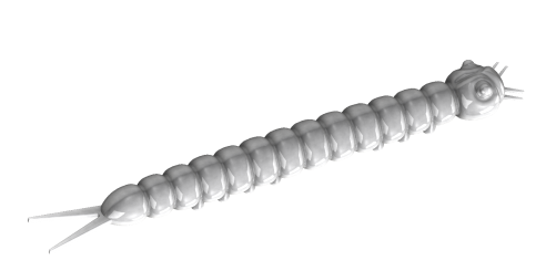 SLIGHT WORM 38